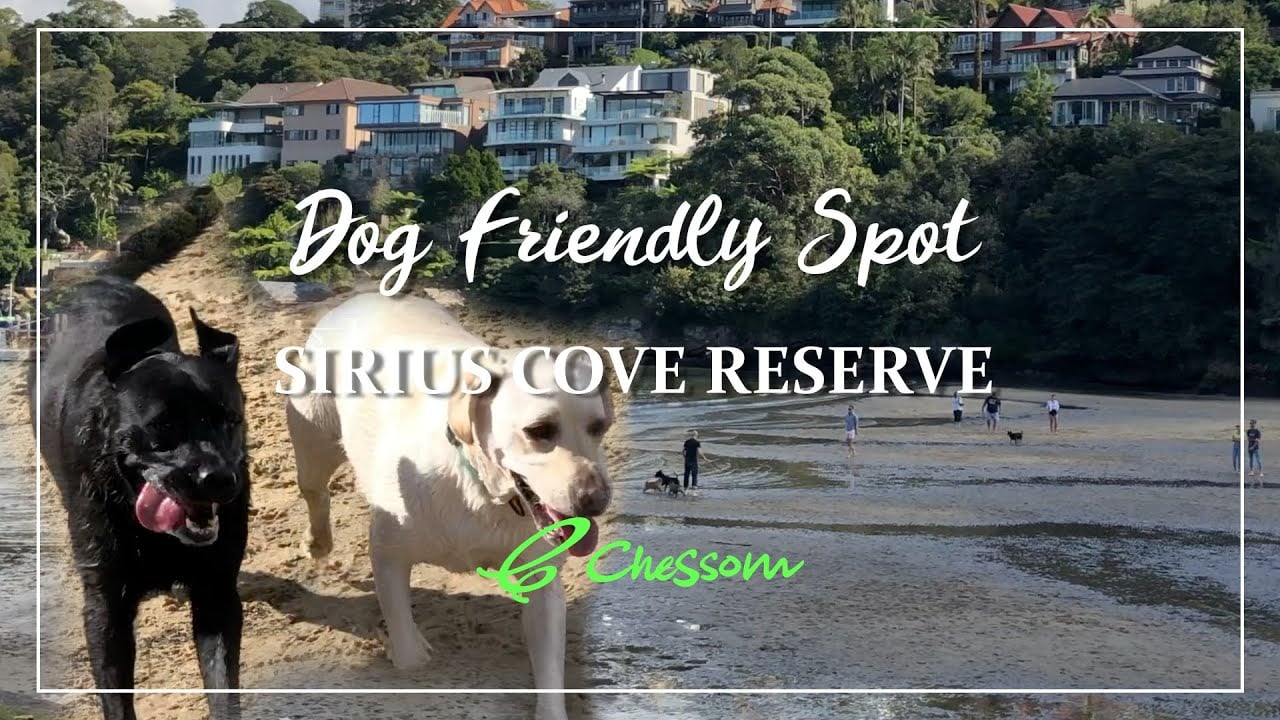 Sirius Cove Reserve | Dog Friendly Sydney