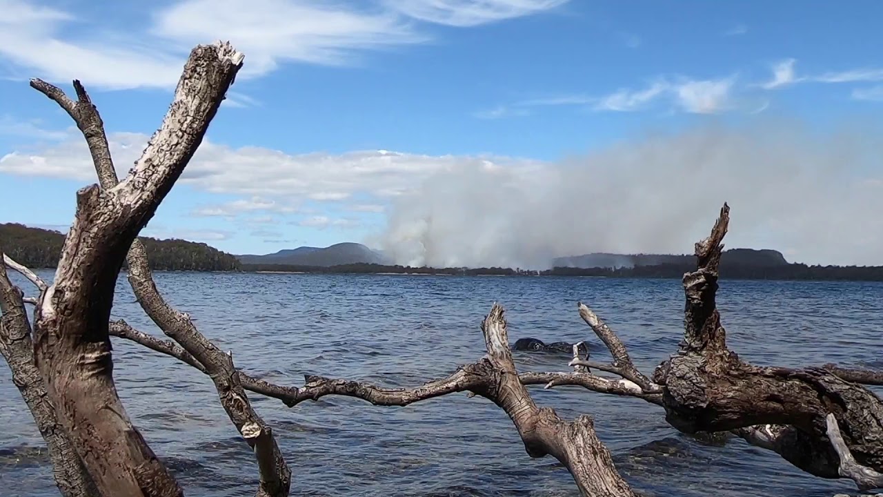 Lake St Clair walk   Echo Point to Cynthia Bay