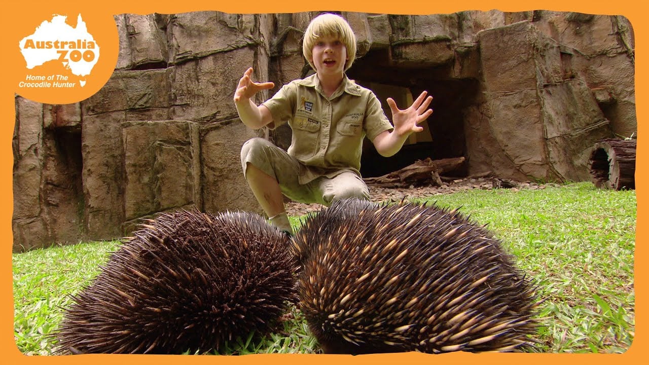 Robert Irwin