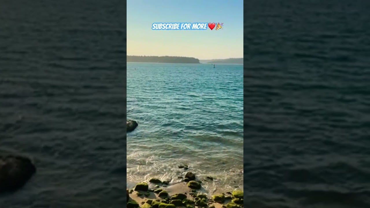 Lady Bay Beach 🏖️ #Sydney #Australia #Beach #beachlife #Sunset #Life #beautiful #Amazing