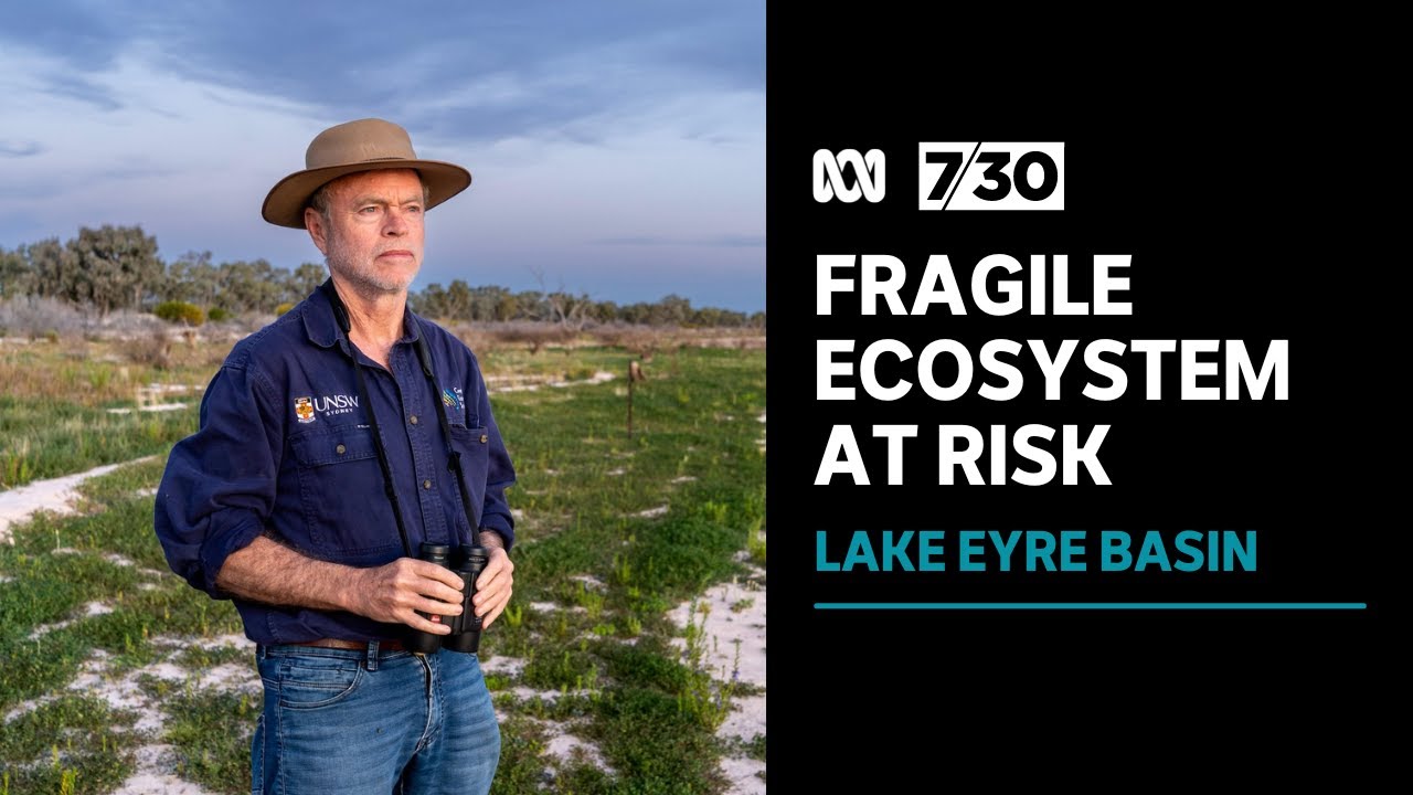 Research shows future gas exploration could upset the ecological balance at Lake Eyre Basin | 7.30