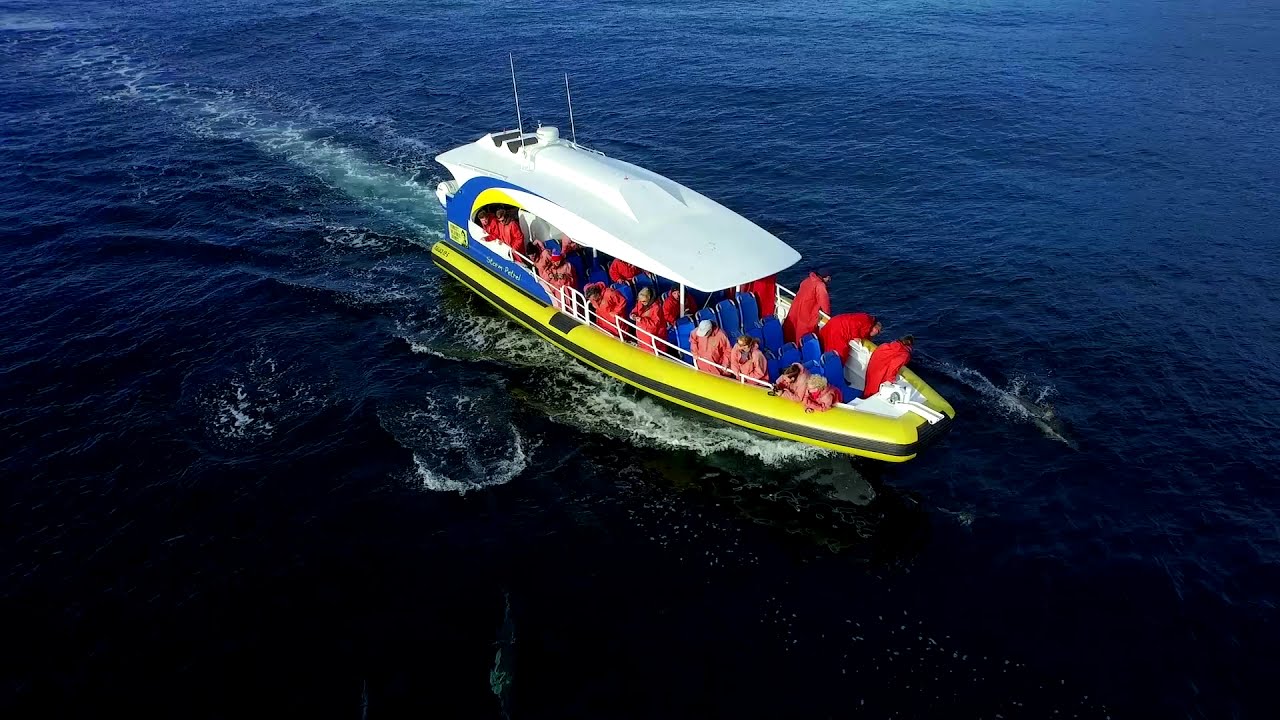 Bruny Island Cruises