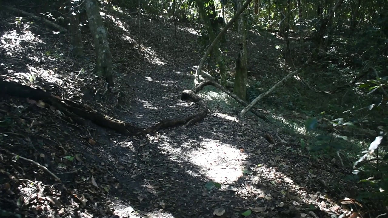 Iluka World Heritage Rainforest Walk - Brown Signs Destination - July 2019