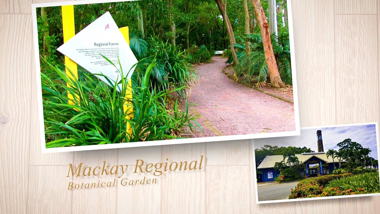 Road Trip : Walk Tour in Mackay Regional Botanical Gardens