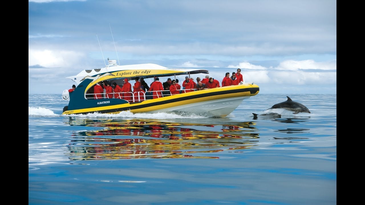Bruny Island Cruise Tasmania