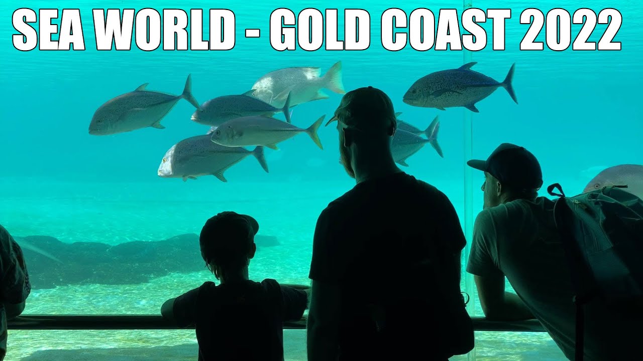 Sea World - Gold Coast 2022