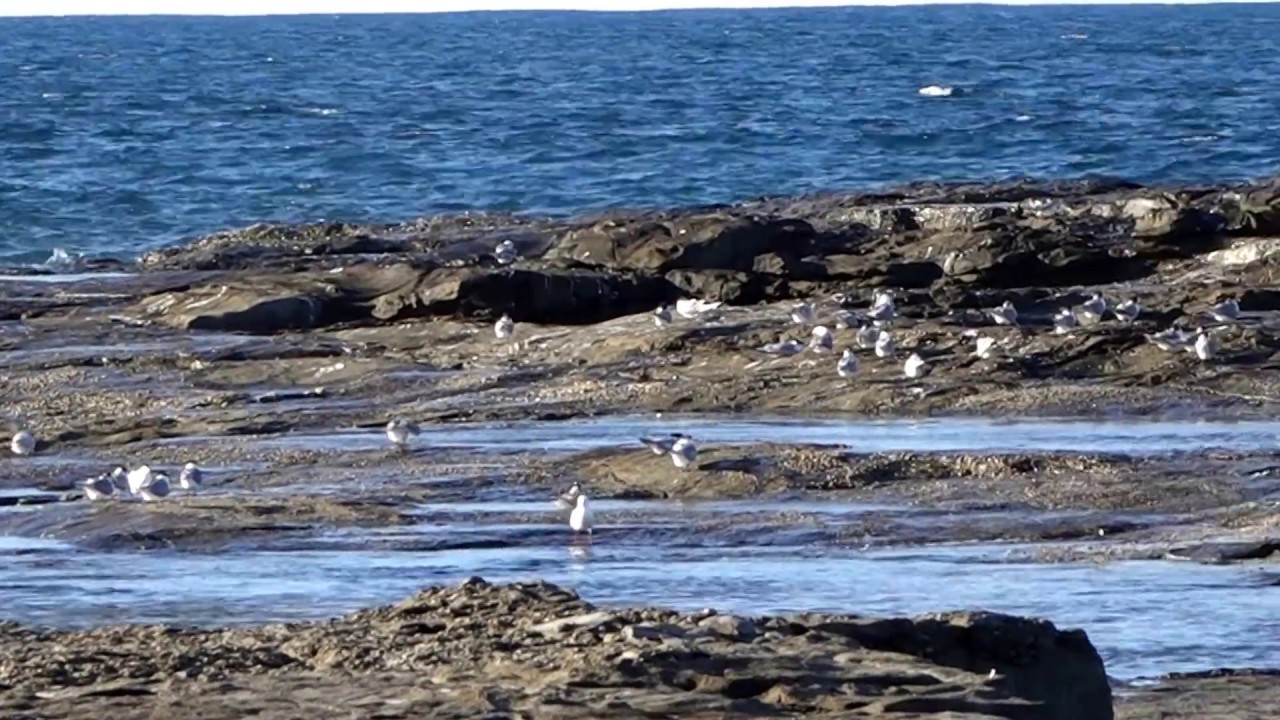 Bluff Beach - Iluka, NSW, Australia