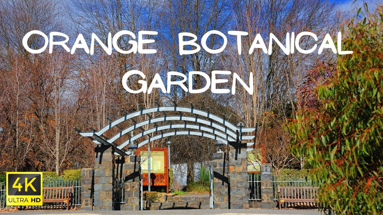 4K Walking Tour of Orange Botanic Gardens, Orange New South Wales Australia