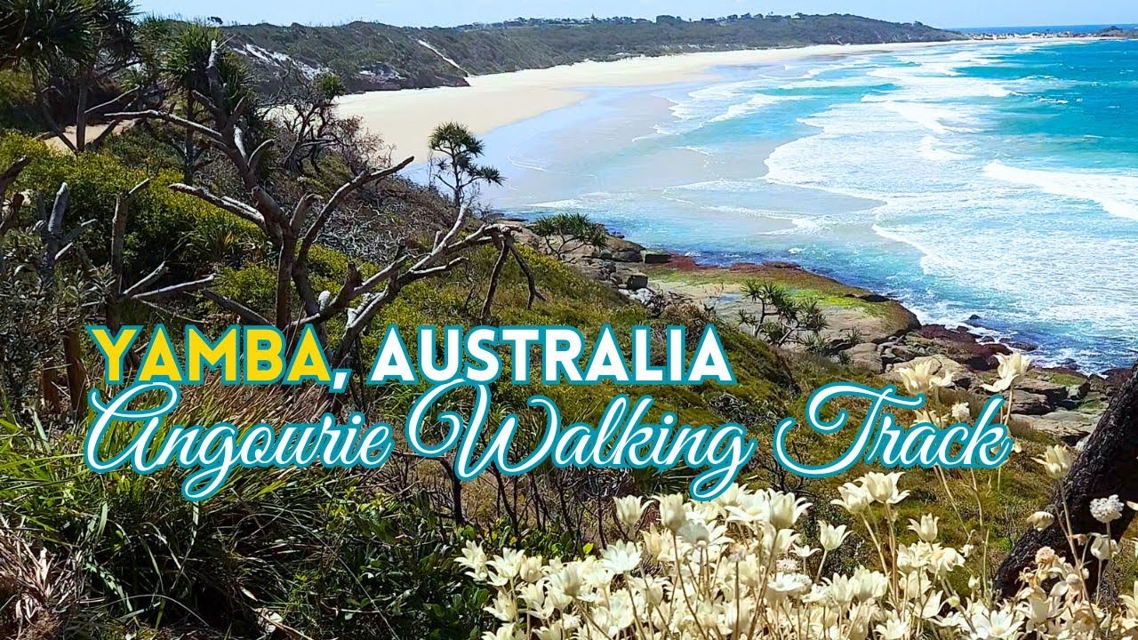 Angourie Walking Track | Yamba, Australia