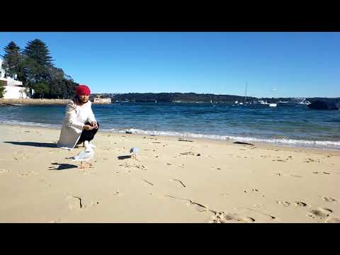 Kutti Beach NSW Australia