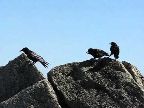 Kosciuszko National Park