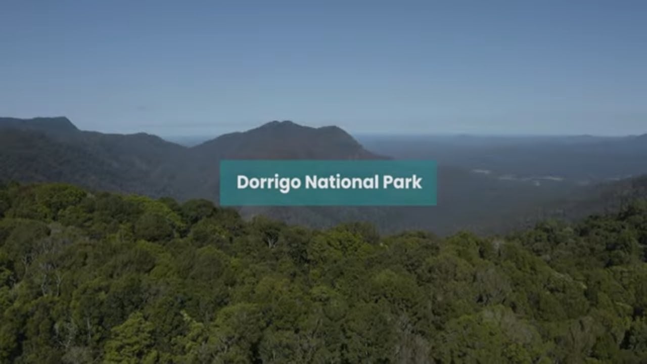NSW National Parks : Education
