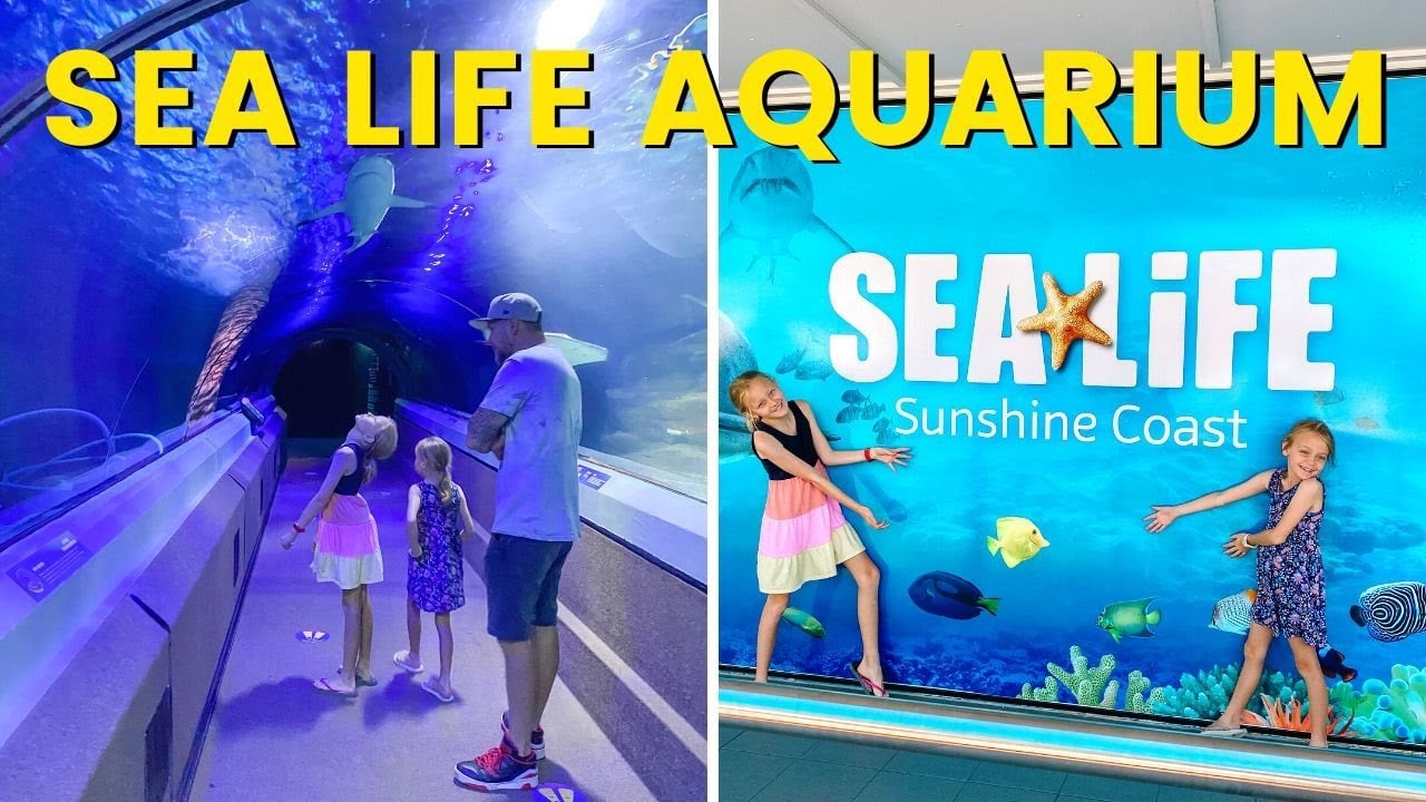 Sea Life Mooloolaba | Underwater World Sunshine Coast