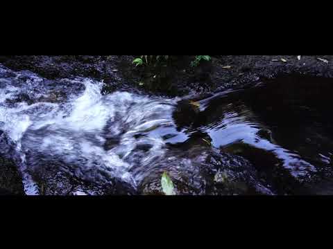 Elabana Falls, Picnic Rock, Box Log Falls - Lamington National Park