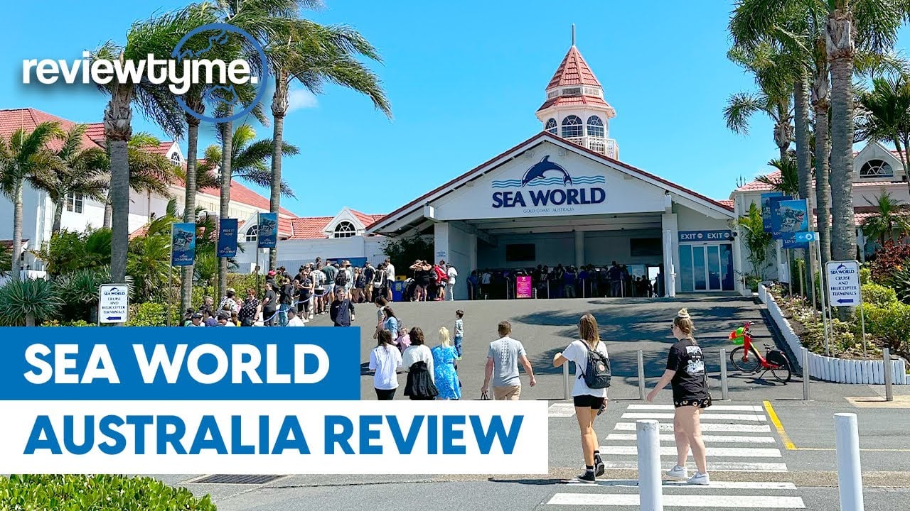 Is Sea World Australia Worth It? An In-Depth Review