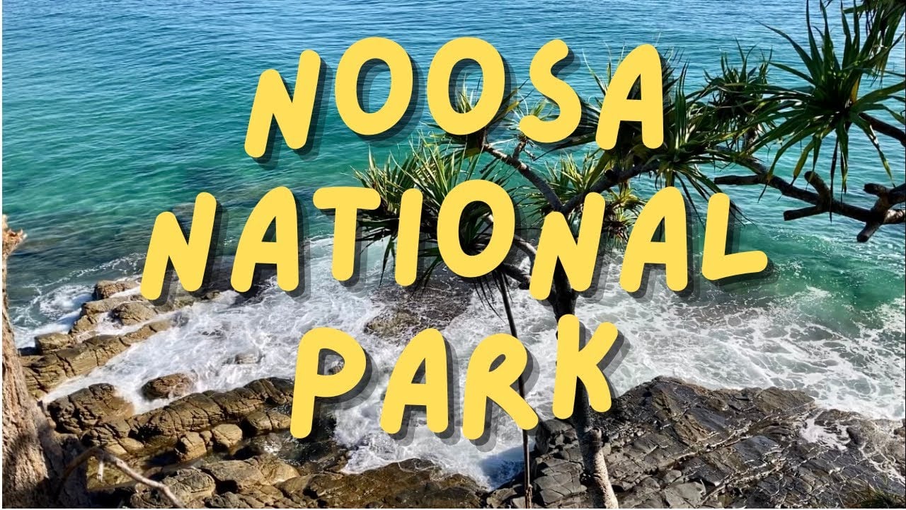 NOOSA NATIONAL PARK... I Noosa, Sunshine Coast, Queensland, Australia Travel Vlog 135, 2022
