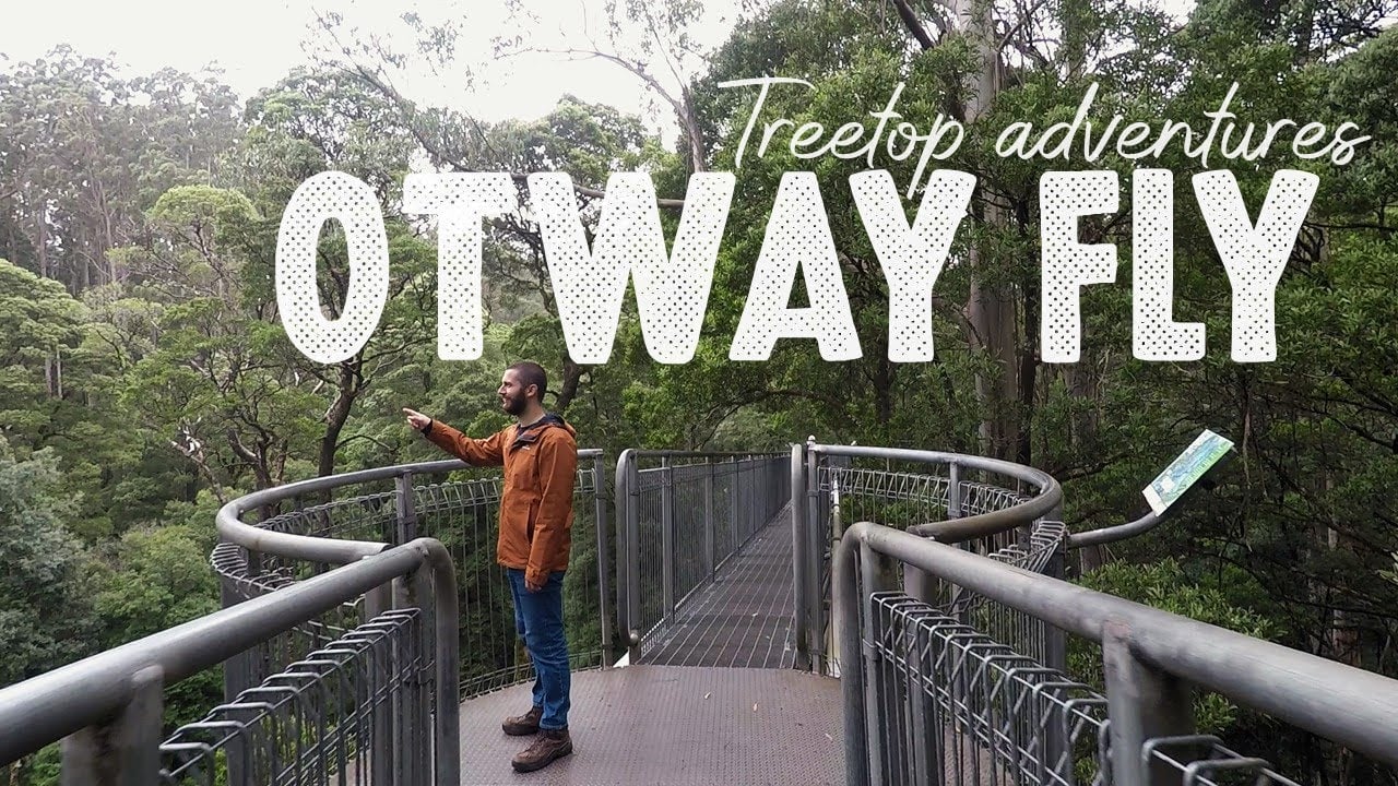 Otway Fly Treetop Adventures: Zip lining and Treetop Walk