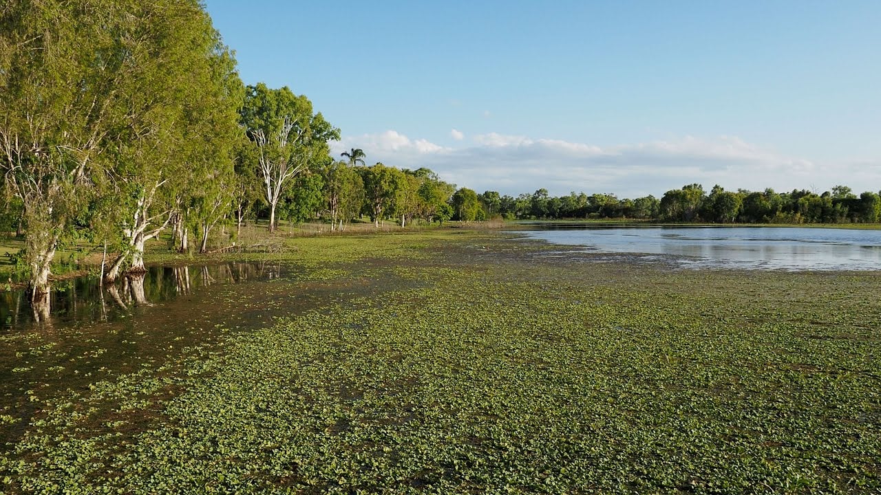 Rockhampton Botanical Gardens