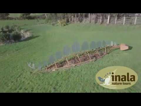 Inala Jurassic Garden - Bruny Island