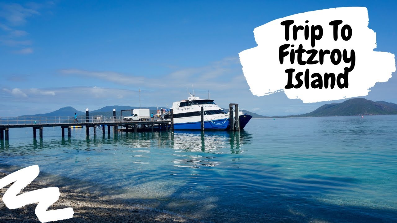 Day Trip to FITZROY ISLAND | Tour of the Sea Turtle Hospital