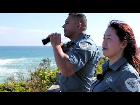Port Campbell National Park Visitor Guide
