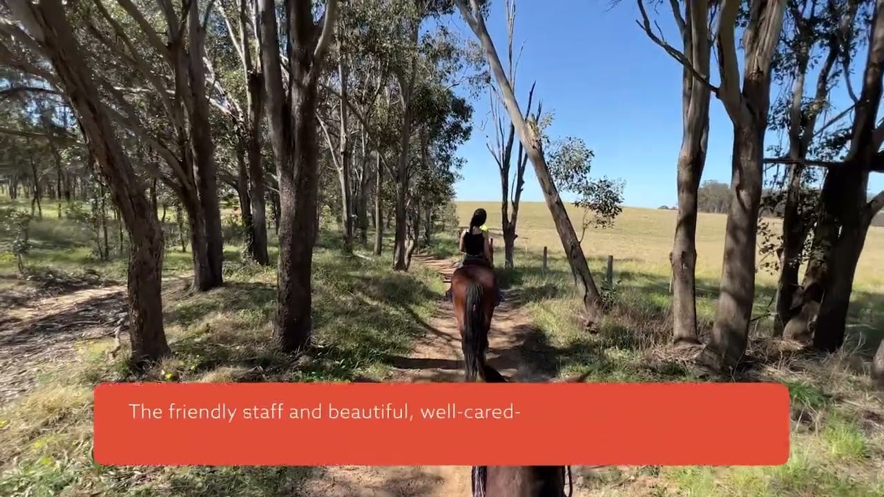 Hunter Valley Bushland Trail Horse Ride | Things to do | New South Wales