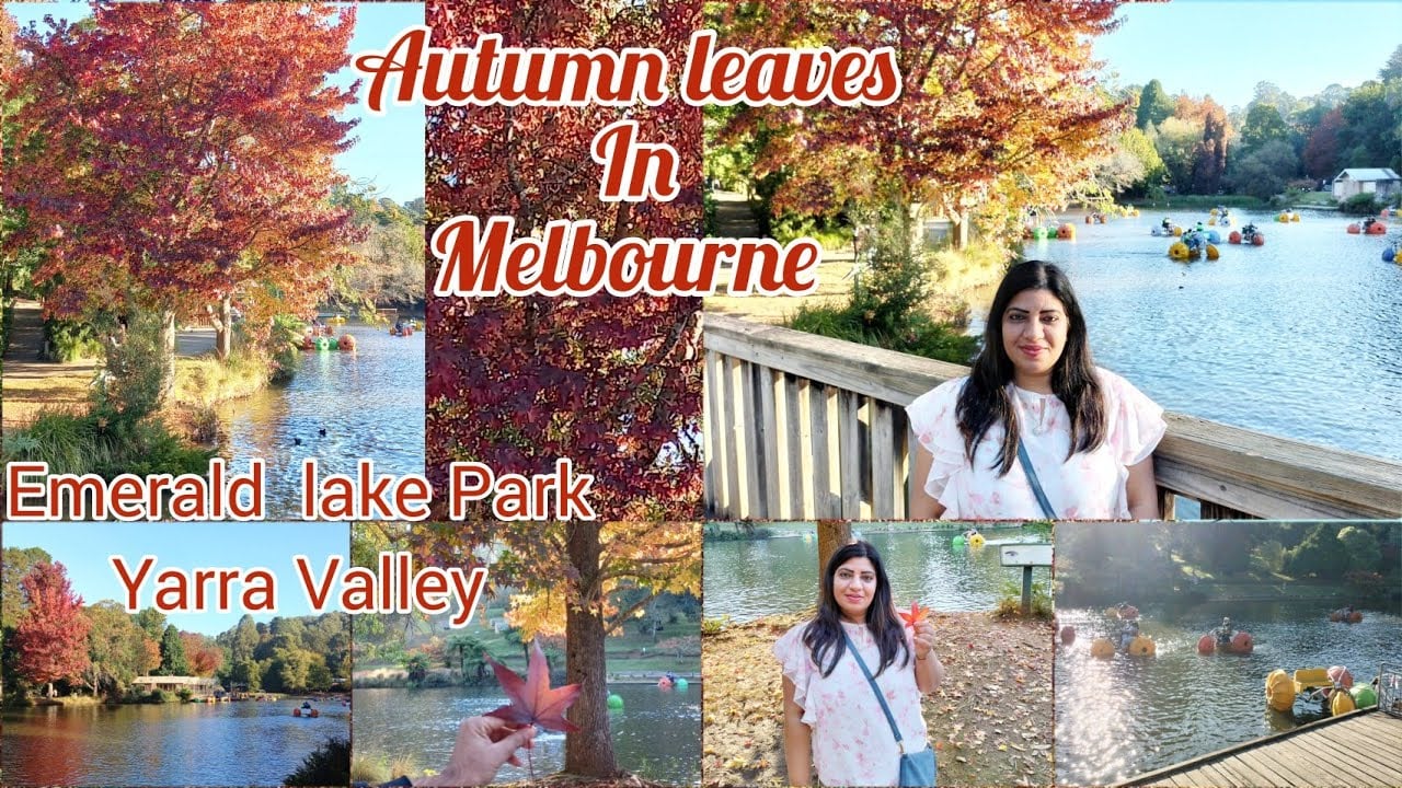 Autumn Leaves in Melbourne | Emerald lake Park day outing | Boating in Melbourne | Yarra Valley