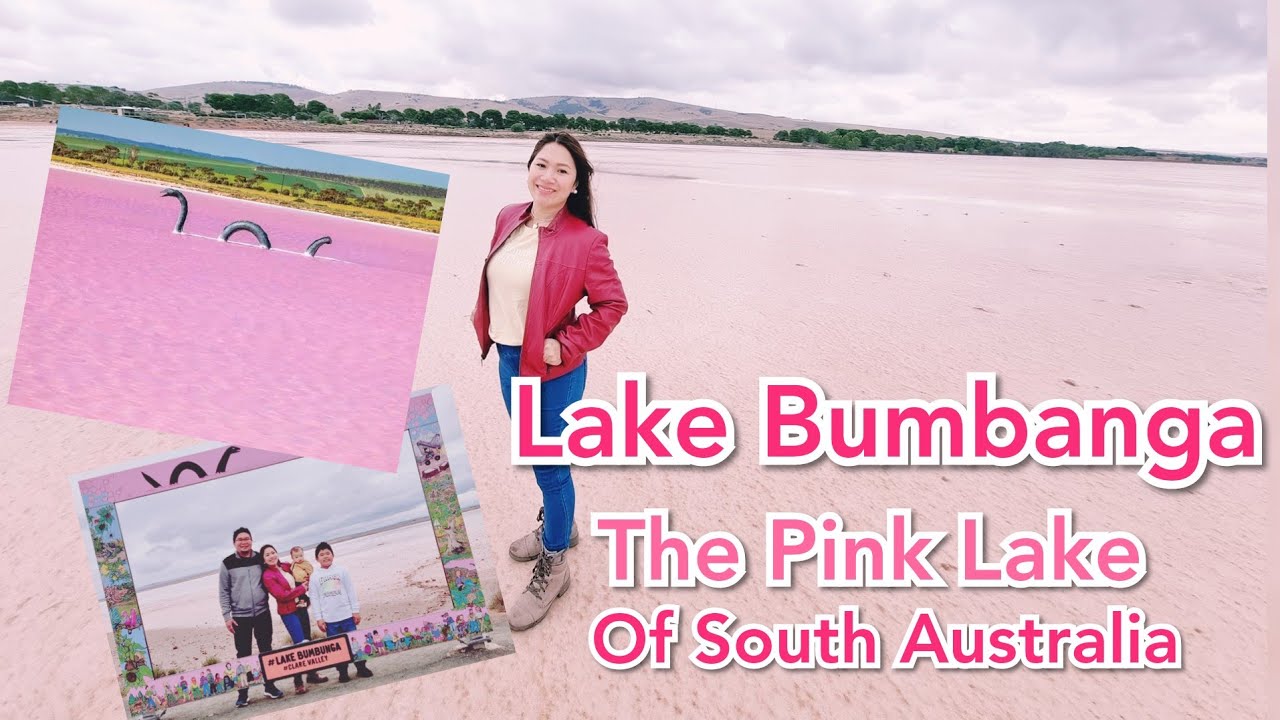 Pink Lake of South Australia| Lake Bumbunga