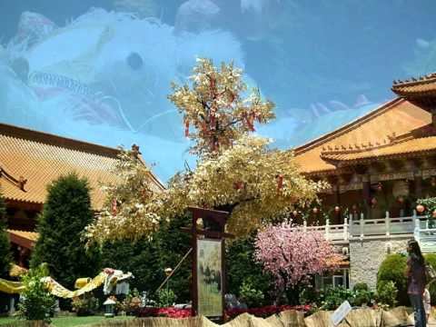 Nan Tien Temple Australia (FOTO PRIČA)