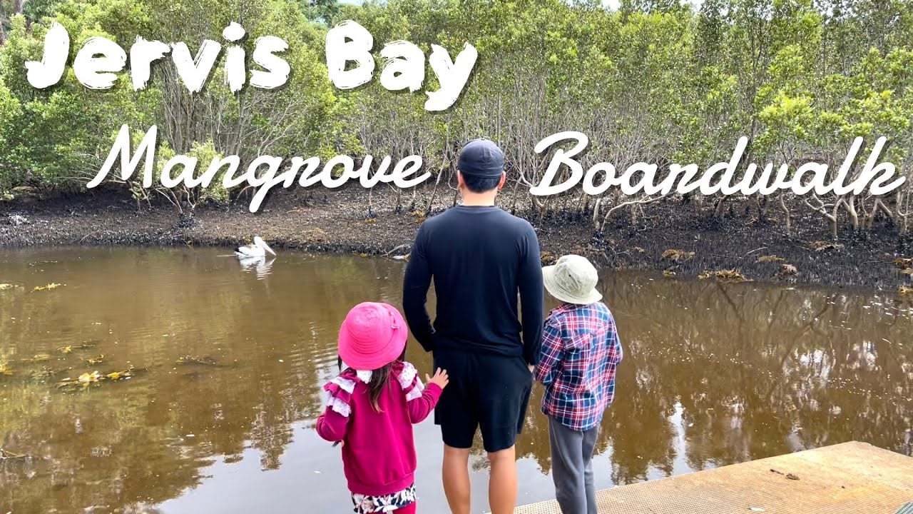 Jervis Bay Mangrove Boardwalk, Huskission NSW