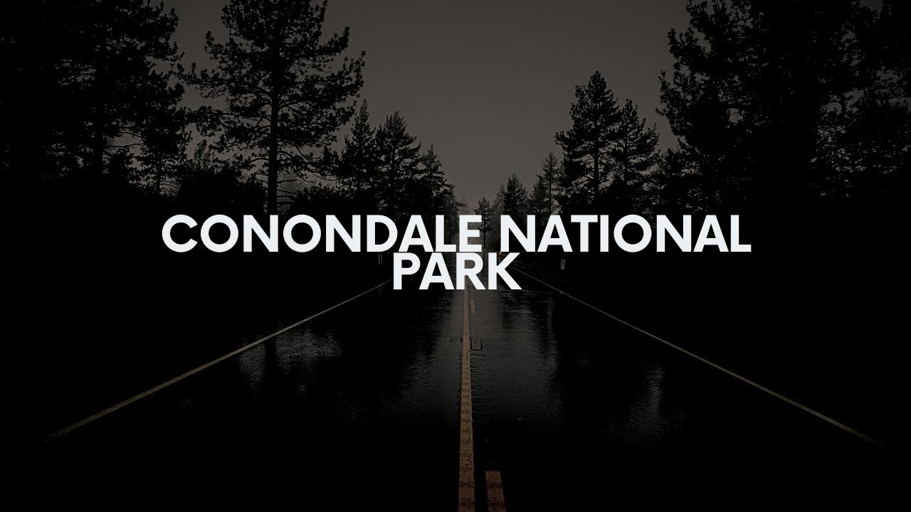 Driving 4k | Australia 🇦🇺 | Conondale National Park