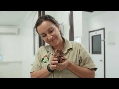 Behind the Scenes at Lone Pine