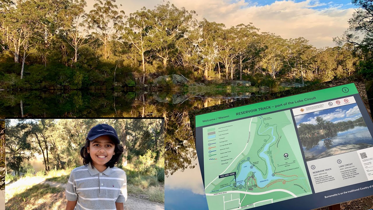 Parramatta Lake Reserve - Reservoir Track