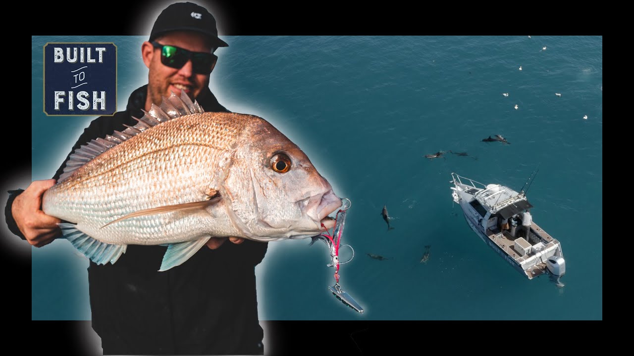 The Most AMAZING Work Up Fishing I have ever Experienced! Hauraki Gulf Magic.