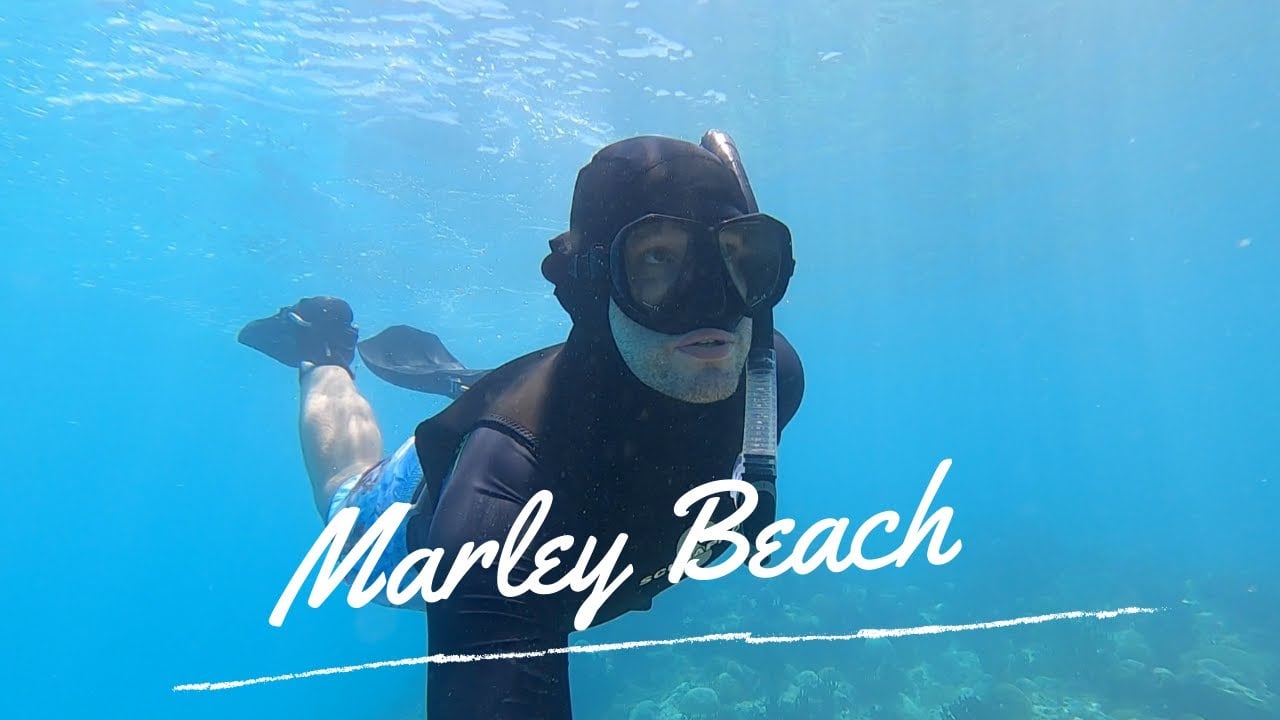 Exploring Bermuda - Marley Beach & Southlands - Ep 4 | Blue Horizon Diving