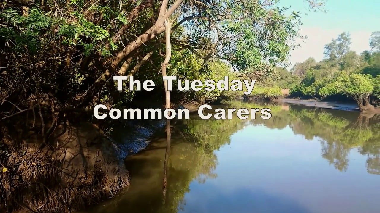 Oxley Creek Common: The Tuesday Common Carers