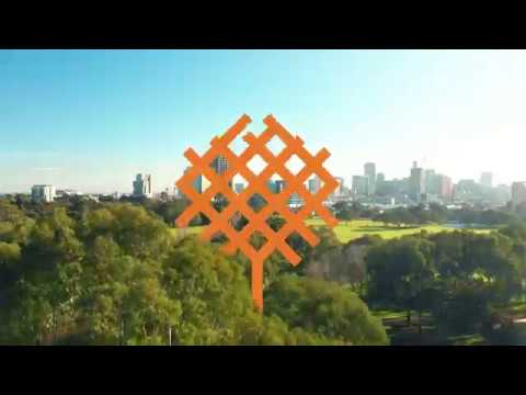 TreeClimb - Adelaide