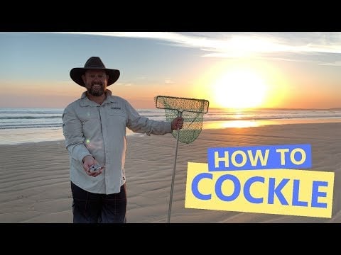Goolwa Beach - How to Cockle