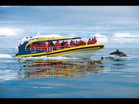 Bruny Island Cruise Tasmania
