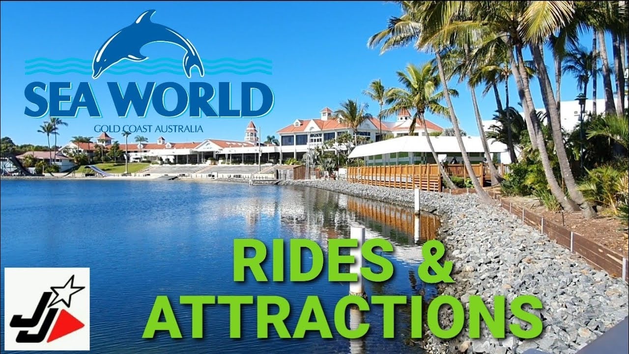SEAWORLD - GOLD COAST THEME PARK | Rides & Attractions!