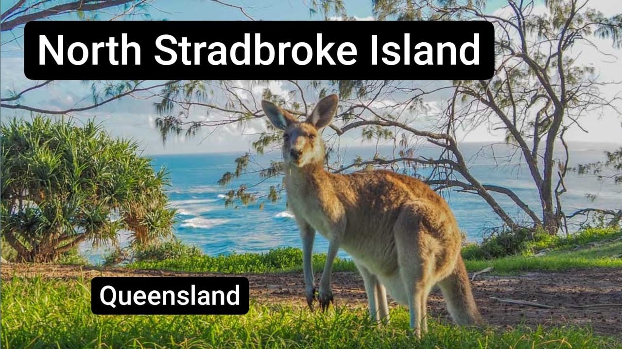 NORTH STRADBROKE ISLAND | Getting there & Things to see and do on the Island | Brisbane, Queensland