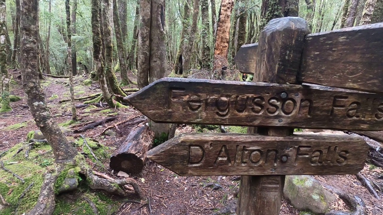 Overland Track Day-5/7 Kia Ora to Windy Ridge Hut Nov-2020 (2.7k)