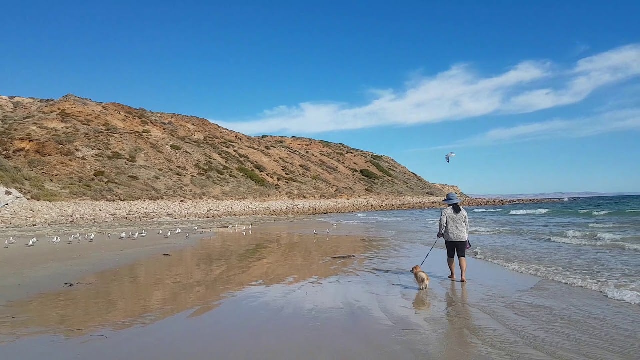 Seaford Beach, South Australia 🏖🏖🌊🌊