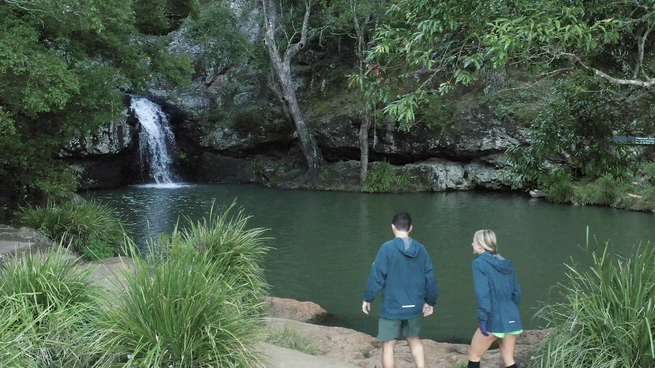 Sunshine Coast Hinterland Great Walk