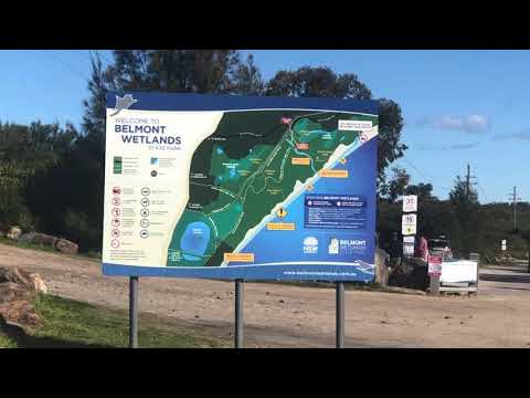 Blacksmiths Beach 4x4 Day Trip NSW