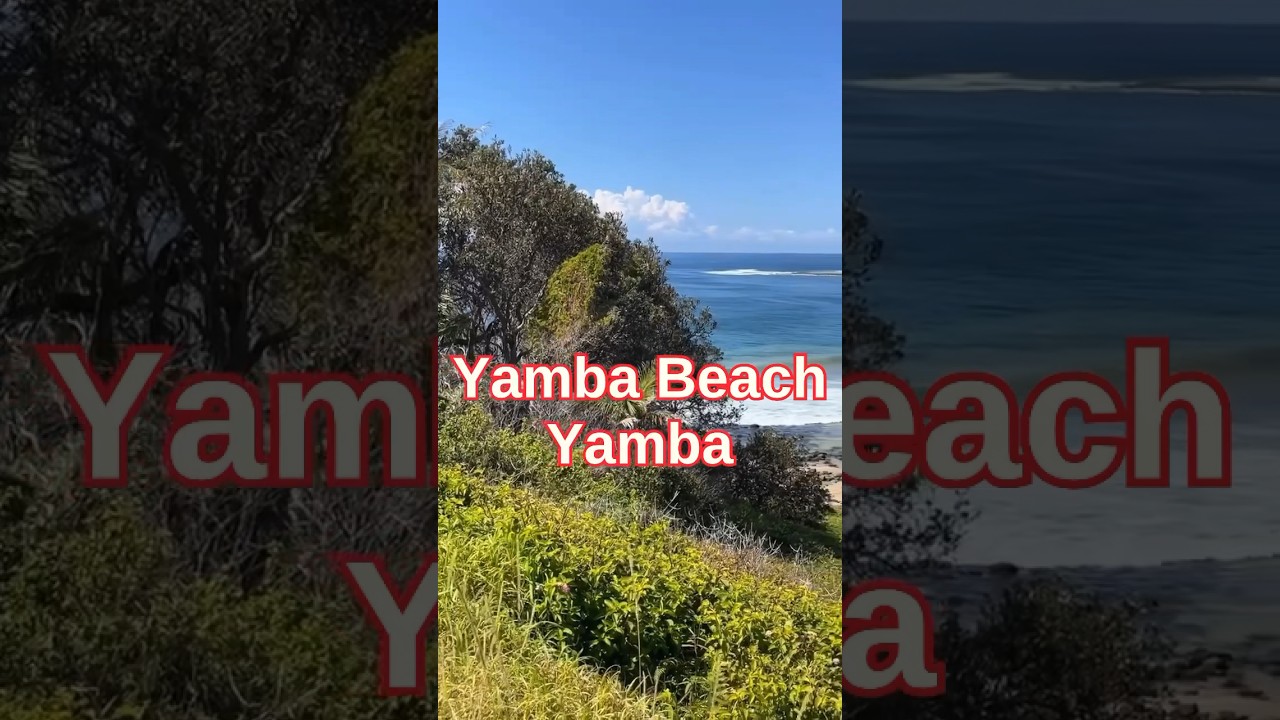 🤩😎 Overlooking the scenic Yamba Beach , from Pilot Hill #yamba #beach