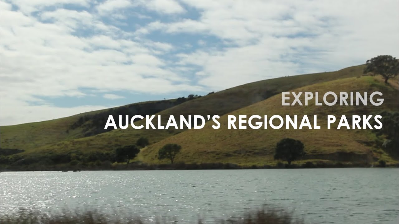 Exploring Auckland