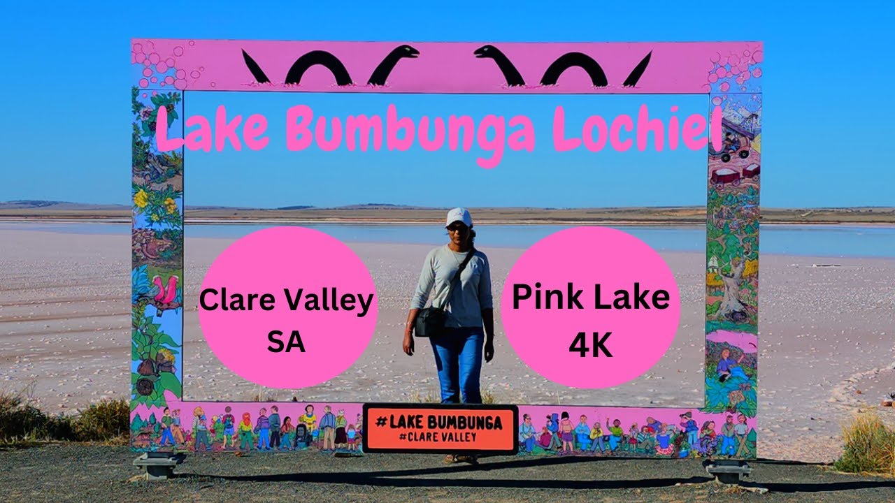 The Pink Lake Bumbunga In South Australia