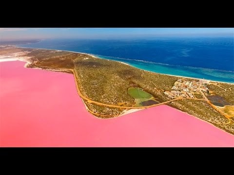Hutt Lagoon, Western Australia : Amazing Planet