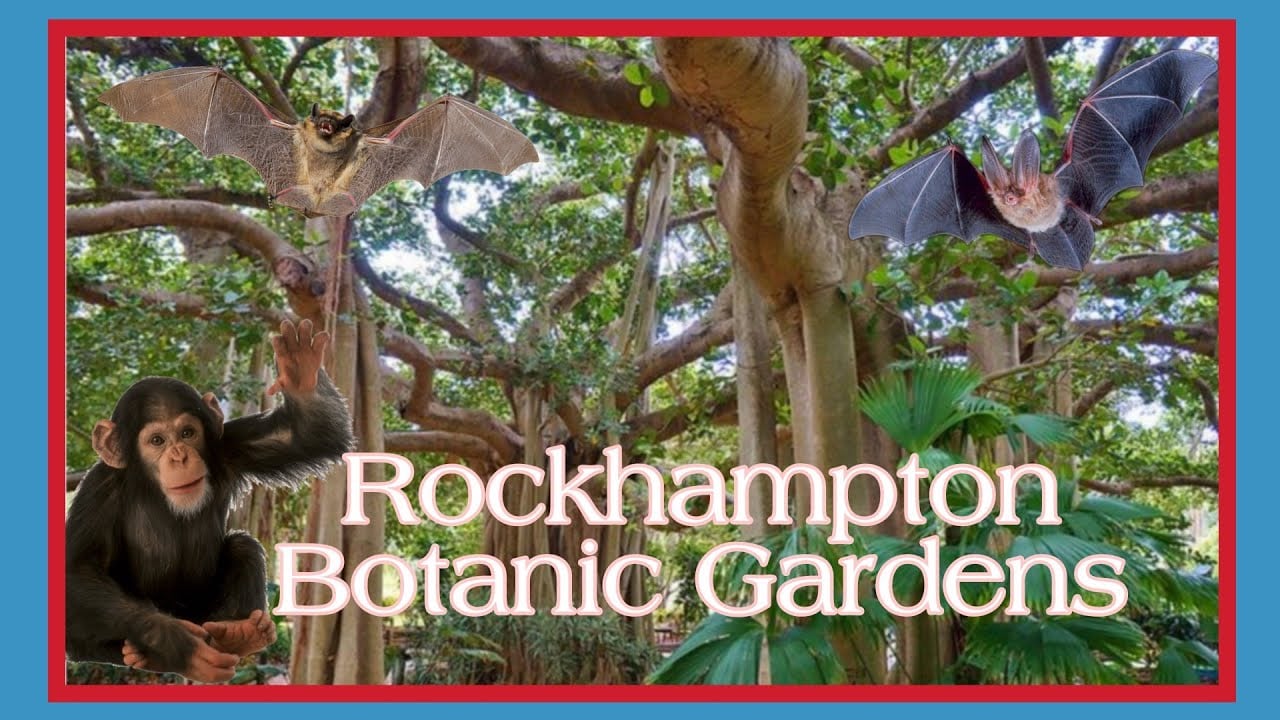 Rockhampton Botanic Gardens Queensland Australia